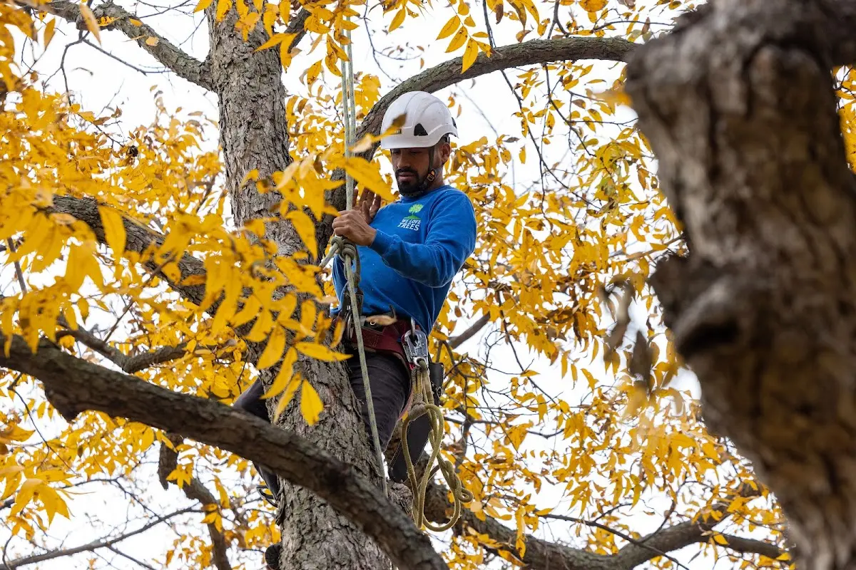 Skilled Storm Damage Cleanup crew working in Big Falls